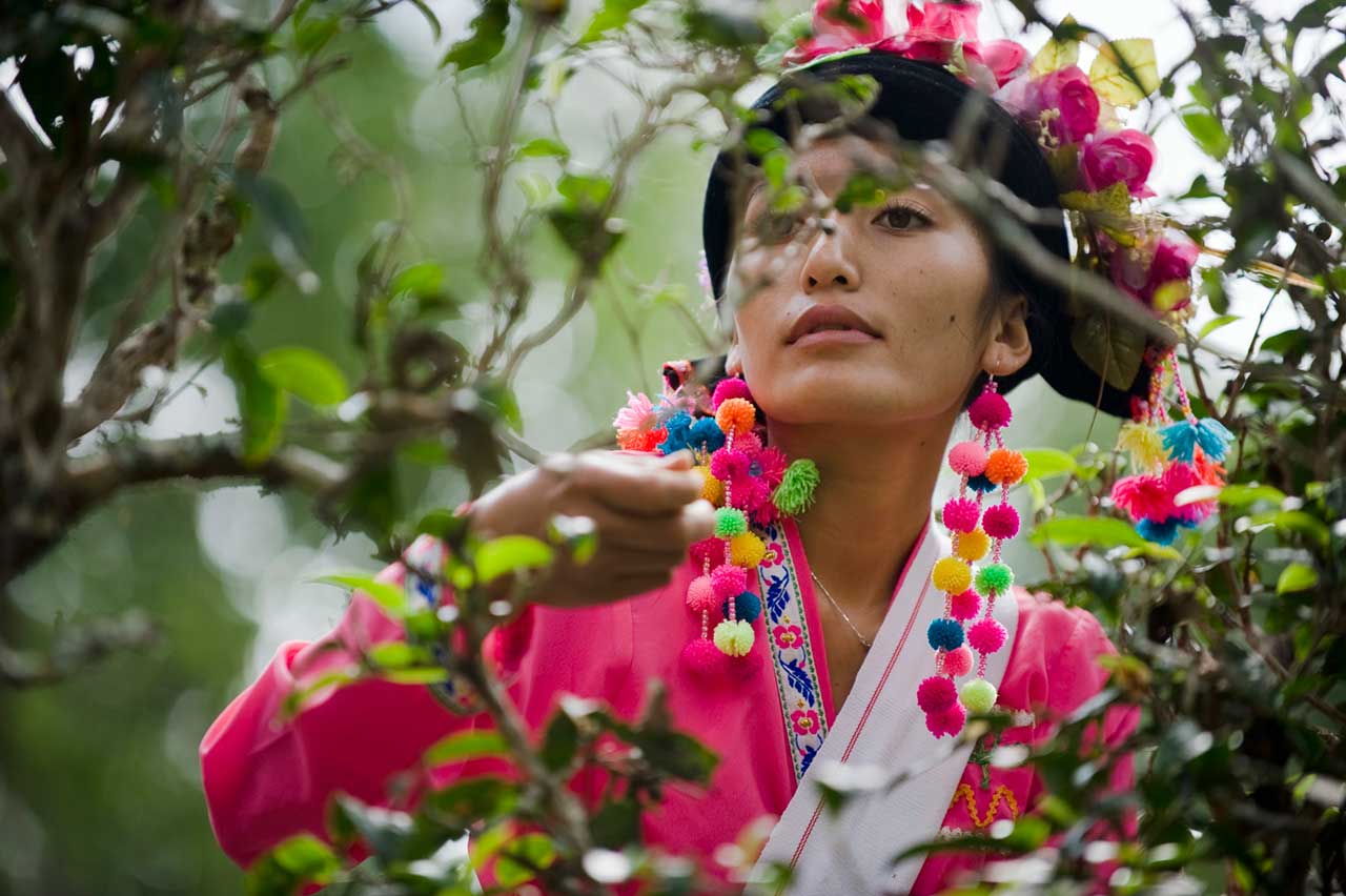 普洱茶&在地美食