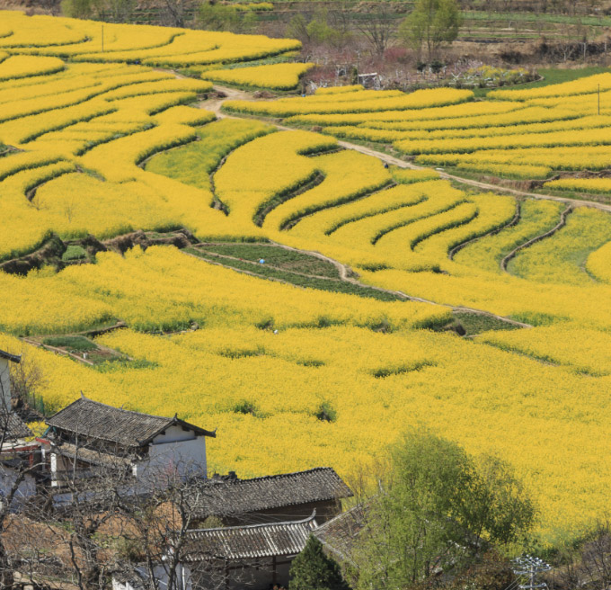 茶马道三谷水丽世山居