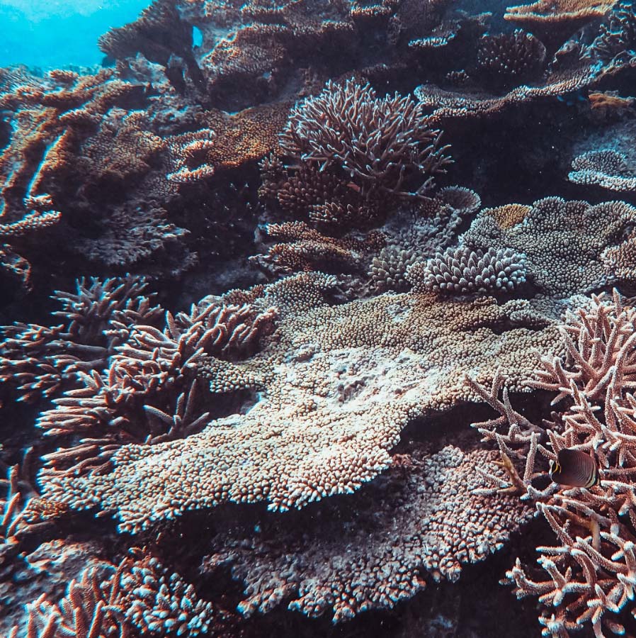 我们如何关心重要的事情